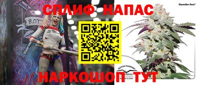 твердый Пугачёв