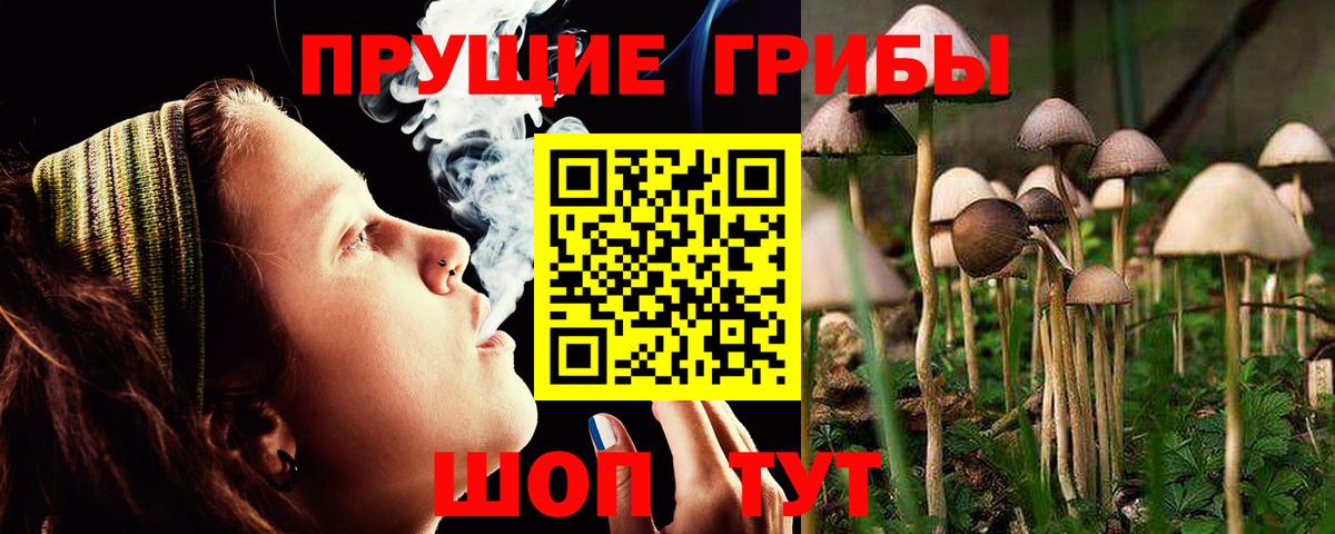Псилоцибиновые грибы MAGIC MUSHROOMS  Вход с VPN  наркошоп  Сертолово 